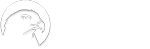 Бриджит – продвижение в инстаграме